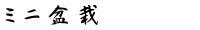 ミニ盆栽
